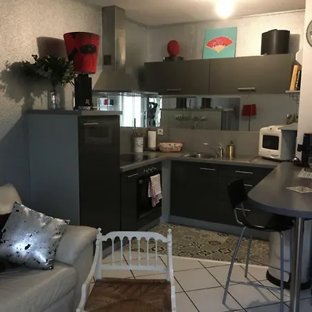 Le Garden Victoria - Canal & Cathedrale -30m2 & Garden Apartment Nancy