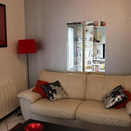 Le Garden Victoria - Canal & Cathedrale -30m2 & Garden Apartment Nancy