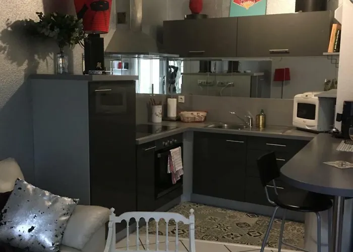 Le Garden Victoria - Canal & Cathedrale -30m2 & Garden Lejlighed Nancy