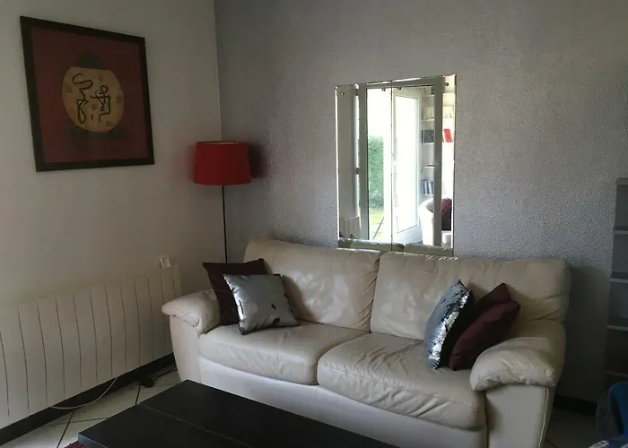 Lejlighed Le Garden Victoria - Canal & Cathedrale -30m2 & Garden Nancy