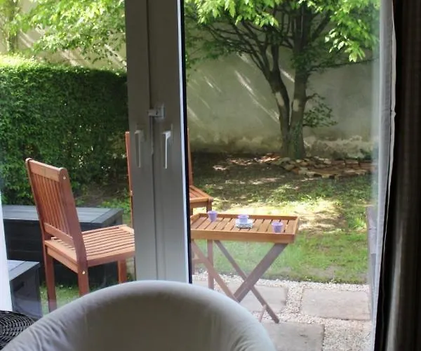 Le Garden Victoria - Canal&cathédrale -30m2&garden * Nancy